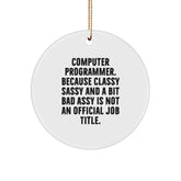Funny Computer Programmer Circle Ornament, Gifts for Men, Computer Programmer Gifts, Christmas Unique Gifts from Friends, Humorous Quote - Image 1